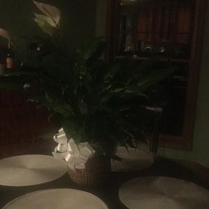 Meet your Posher, Pam