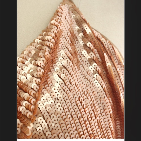 Haute hippie halter sequin dress - Picture 4 of 4