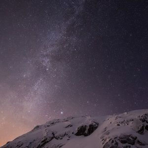 Meet your Posher, Bailey