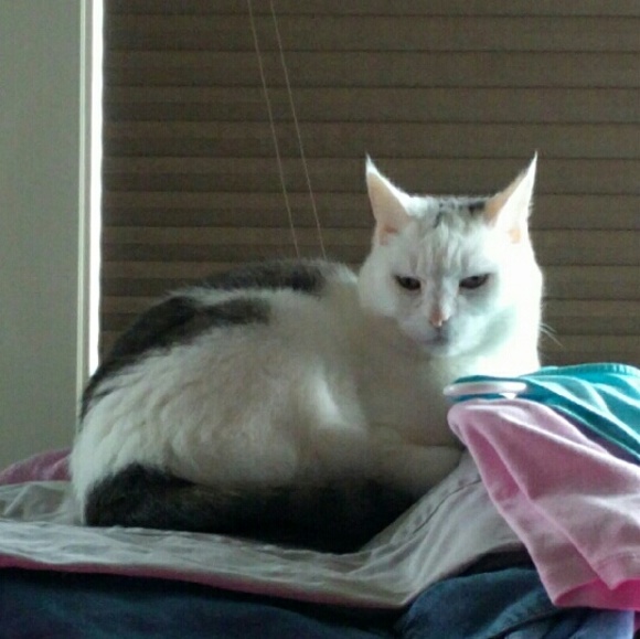 Meet your Posher, Christina - Picture 2 of 3