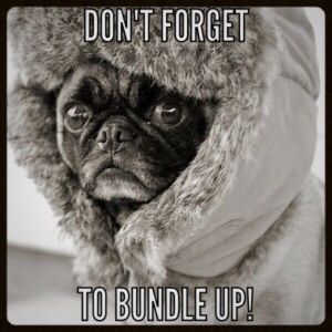 GET 10% OFF ON 2 OR MORE ITEMS BUNDLED!