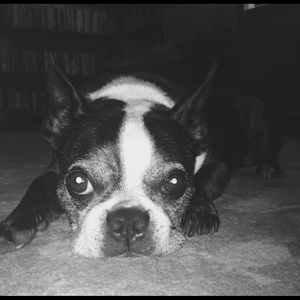 Meet your Posher, Helen