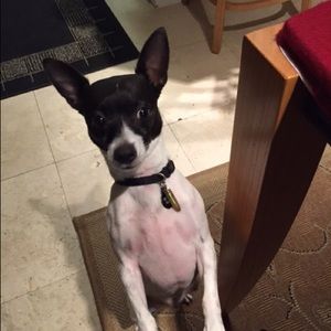 Meet your Posher, Suzanne