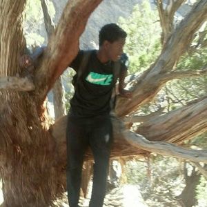 Meet your Posher, Julius