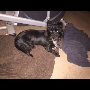 Meet your Posher, Non