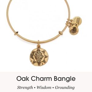 Alex and Ani charm bangle bracelet