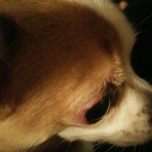 Meet your Posher, Daniela