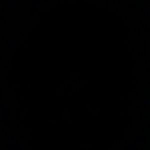 Meet your Posher, Niki