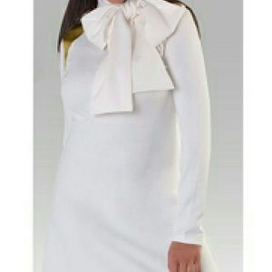 Meet your Posher, Ken