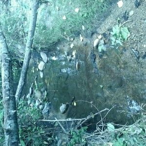 Meet your Posher, Caleb