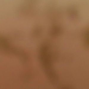 Meet your Posher, Diego