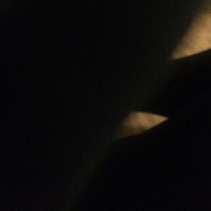 Meet your Posher, Dylan