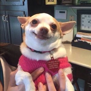 Meet your Posher, Alessandra