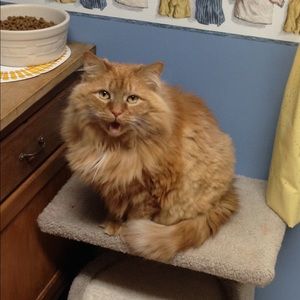 Meet your Posher, Jonathan