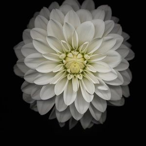 Meet your Posher, Tarek