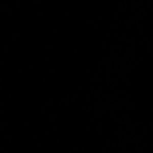 Meet your Posher, Shanequia