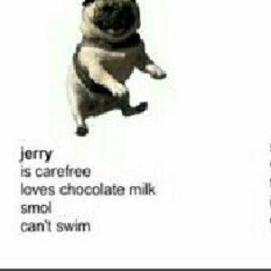 Meet your Posher, Benjamin