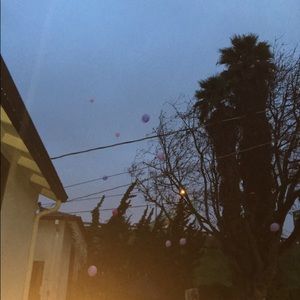 Meet your Posher, Kevin