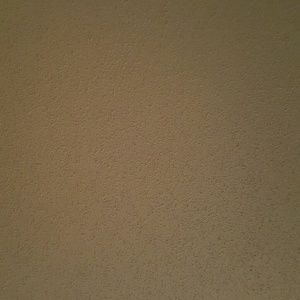 Meet your Posher, Sammy