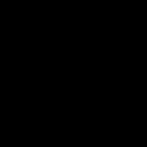 Meet your Posher, Paula