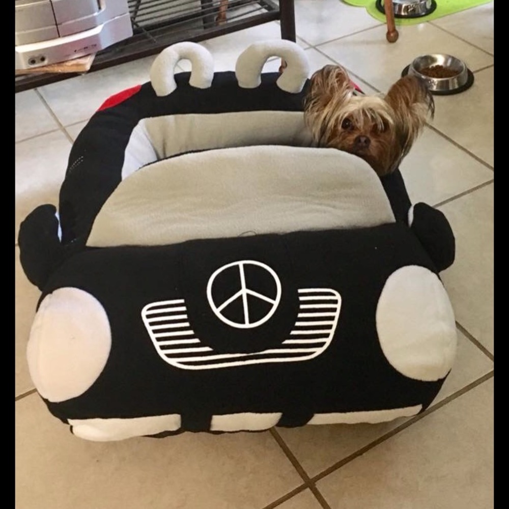 My Little  fur baby XHUY........ 🐾🐾❤️❤️🐾🐾🐾❤️ - Picture 15 of 16
