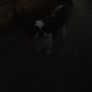 Meet your Posher, Judy