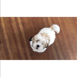 Meet your Posher, Rayane