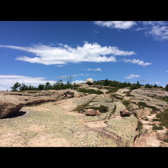 Meet your Posher, T - Picture 3 of 3