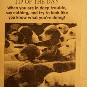 Meet your Posher, Diane