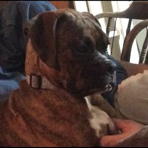 Meet your Posher, Shana