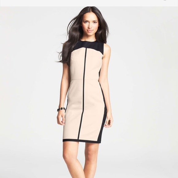 Petite Cotton Stretch Colorblocked Sheath Dress