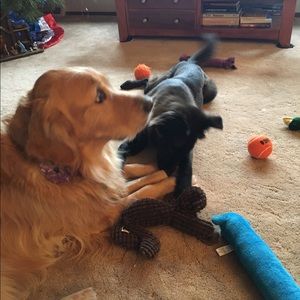 Meet your Posher, Brianna