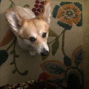 Meet your Posher, Kendra