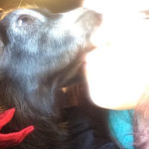 Meet your Posher, Madison