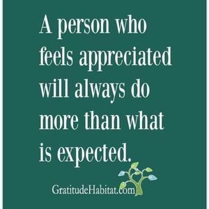 Meet your Posher, Mollie