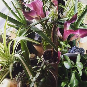 Flash SALE!!! ✨✨✨✨Store closing!!!