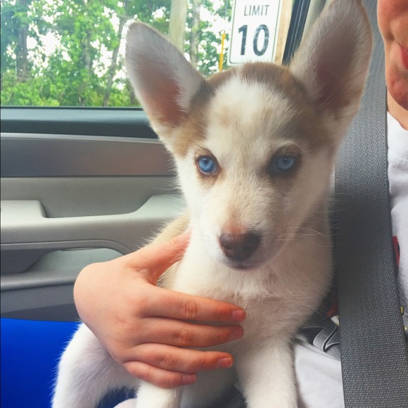 Meet your Posher, Taylor! - Picture 2 of 2