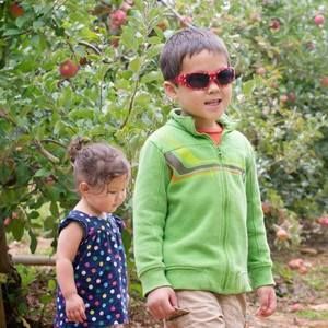 Meet your Posher, Ellen