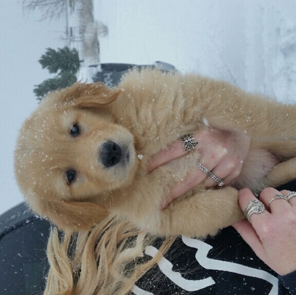 Meet your Posher, Mariah