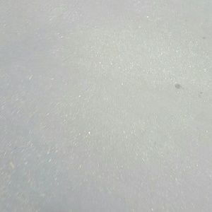 Meet your Posher, Guillermo