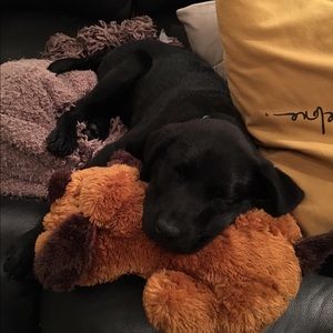 Meet your Posher, Jenna