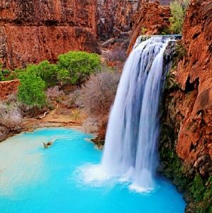 Meet your Posher, Briana