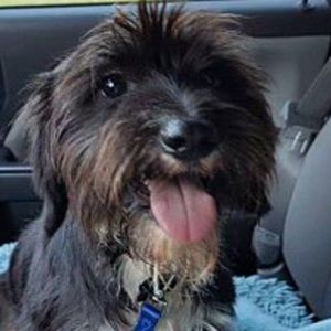 Meet your Posher, Amber