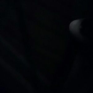 Meet your Posher, Tyger