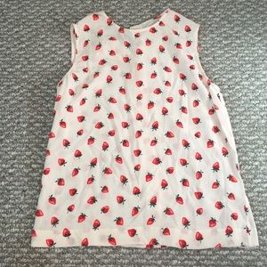 Equipment silk strawberry blouse