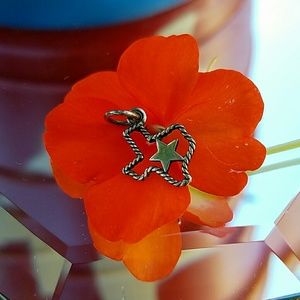 James Avery Texas Charm