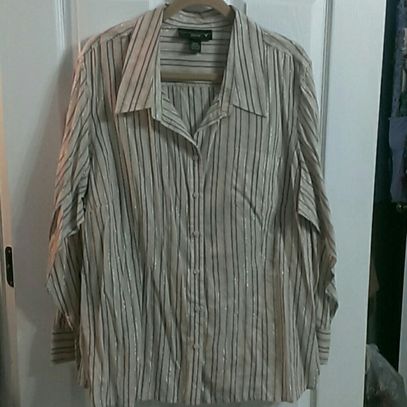 Beautiful Sheer Stripped Button Down Blouse