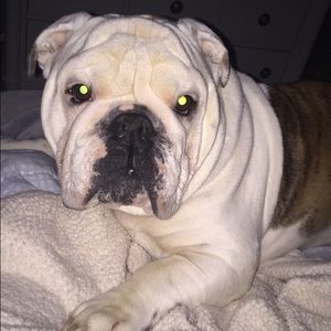 Meet your Posher, Kat