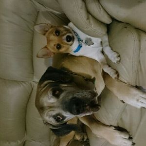 Meet your Posher, Jillian