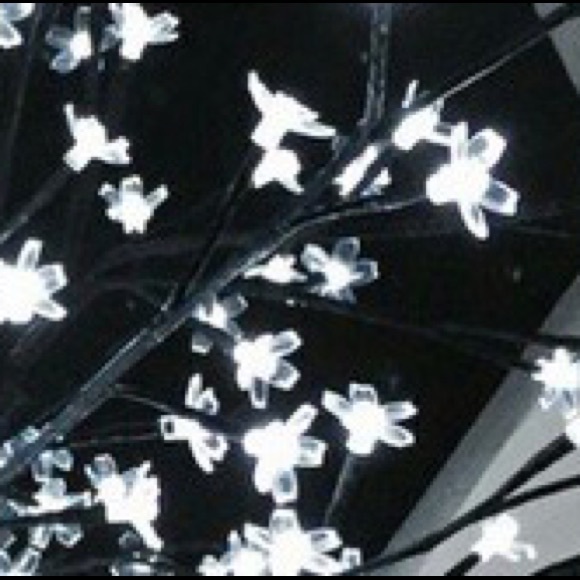 Listing for @lyss317